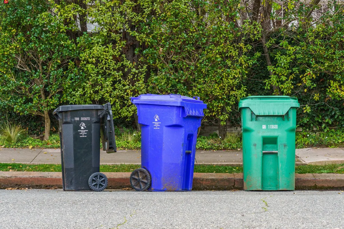 Common Mistakes New Ashford Residents Make with Trash and Recycling